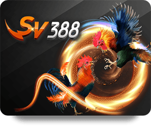 S128 Live Dealer Hot: Safe and Secure Online Betting